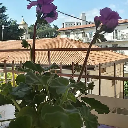 Casa Xenia *