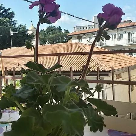 Casa Xenia 펜션 *